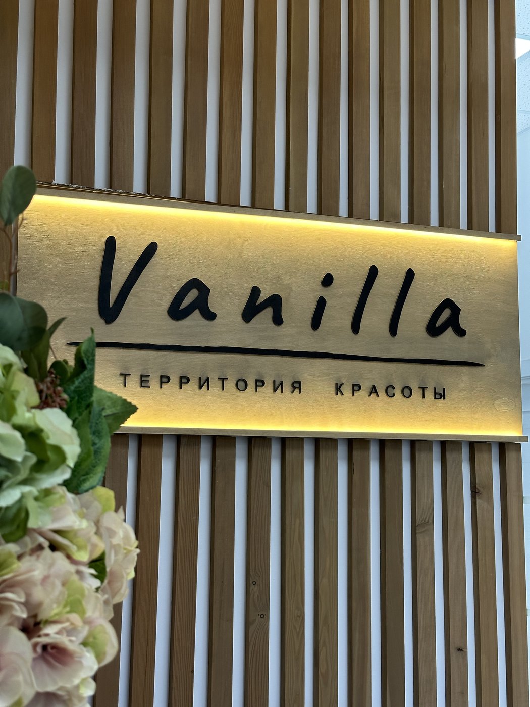 Логотип Vanilla